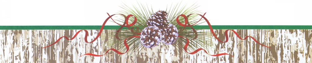 footer image with pinecones and ribbon