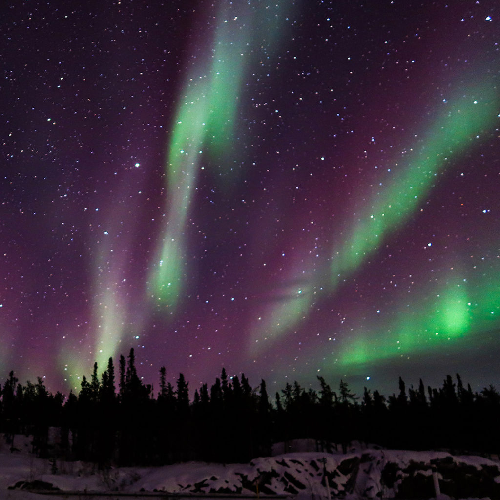 Northern Lights (Aurora Borealis), Yellowknife, Canada