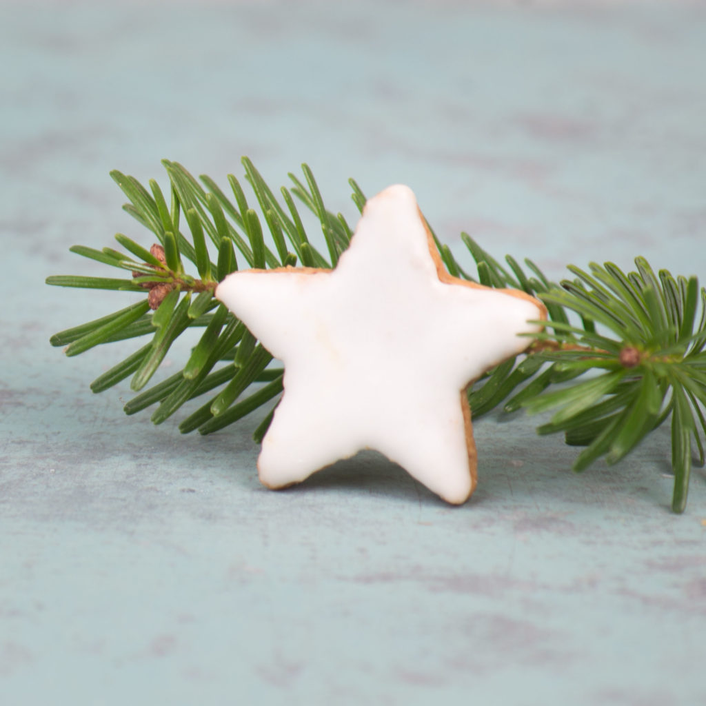 Christmas star shaped cookie and pine tree branch
